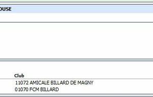 Résultat de la finale - Le FCM BILLARD vice-champion du Grand Est